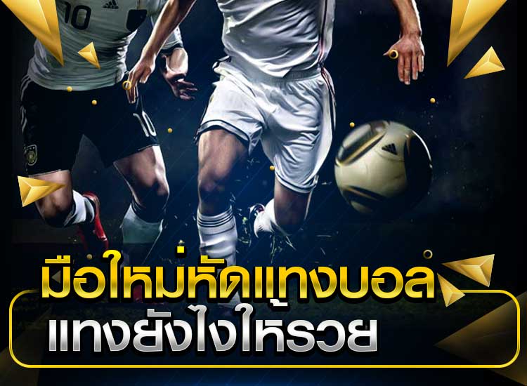 แทงบอลsbobetราคาดี